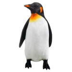 AirPinguïn