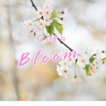 Cafè Bloom