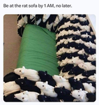 Some random group for people who want to join