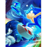 The fans of sonic