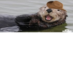 Otter Fun-Time