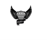 F.E.E.S {Black Wing}