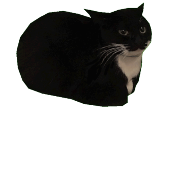 maxwell hangout (voice chat)