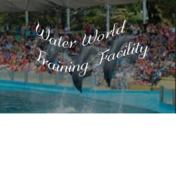 Water World | Training Facility