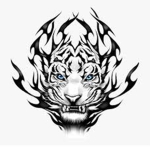 WhiteTiger Fan Club