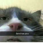 vmpthigh