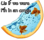 OrngFihPeople!!
