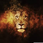 LionTragety