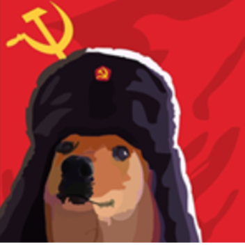 The doge union