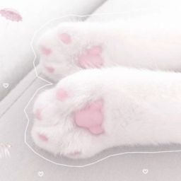 *cute ♡ 40%