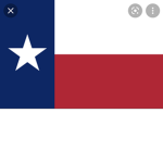 Texas Geniuses