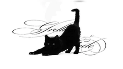 /kartavisa Roblox group icon
