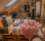 the cozy bedroom