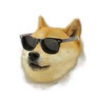 Doge United!