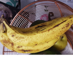 BANANA PEEPS!!