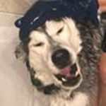 BubblesGreatDeals