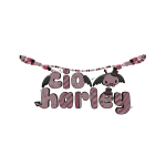 cio & harley 1.0
