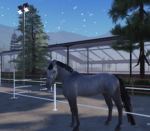 Stride way Horse club
