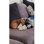 Max and mimi