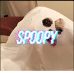 spoopyﾠﾠﾠ