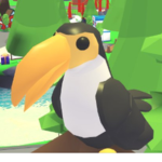 Toucans Forever