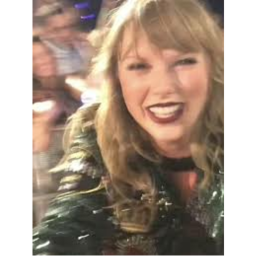taylor swift hangout [ in progress]