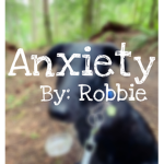 ~ anxiety ~