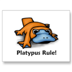 THE PLATYPUS FAN CLUB!