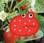 •Strawberry Squad!!!!!•