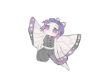 1 piece fans who are fans