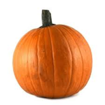 the spooky raid