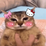 FloppaZero