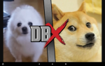 DOGE VS BARKS