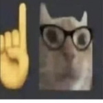 Nerdy cat with finger pointing up
