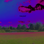 The Twilight Household