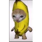 Lahskqhd