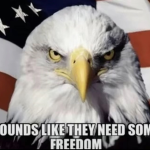 FREEDOM FIGHTERS OF VP