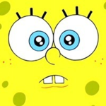 Sponge n Squid