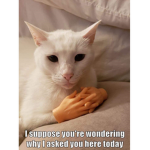 cats with briar