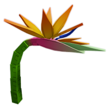 Honey Birds of Paradise produce image