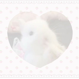 ੭🥛୧