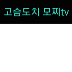 고슴도치 모찌tv
