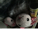Nom axolotl