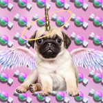 pugs are the best 12345678901234567890