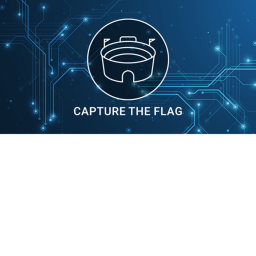 capture the flag (remade)