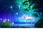 Unicorn Fan Group (: :)
