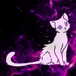 Dirty Cat Studios