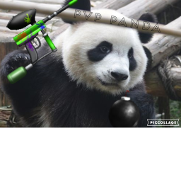 Pvp Panda