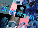 Blueberry Stitch