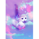 Kitty’s